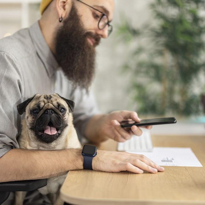 A bearded man with a pug on his lap scans a QR code with his phone.